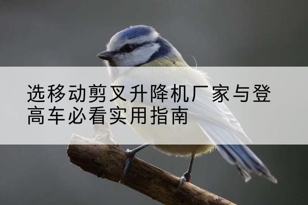 洪雅电动升降机厂家-选移动剪叉升降机厂家与登高车必看实用指南
