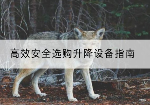 洪雅升降货梯厂家推荐-*安全选购升降设备指南