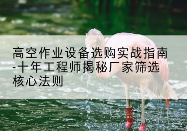 洪雅剪叉式升降机厂家-高空作业设备选购实战指南-十年工程师揭秘厂家筛选核心法则